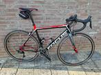 Racefiets FOCUS, Carbon, Zo goed als nieuw, 57 tot 61 cm, Meer dan 20 versnellingen