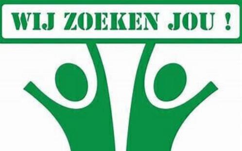 Bijles gevers/docenten gezocht!, Vacatures, Profielen | Student zoekt bijbaan of stage