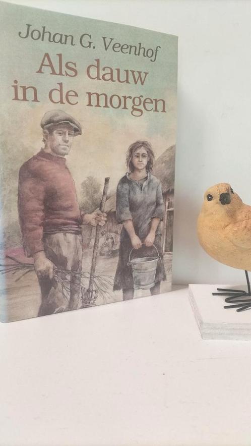 Veenhof, Johan G.; Als dauw in de morgen, Boeken, Romans, Gelezen, Nederland, Ophalen of Verzenden