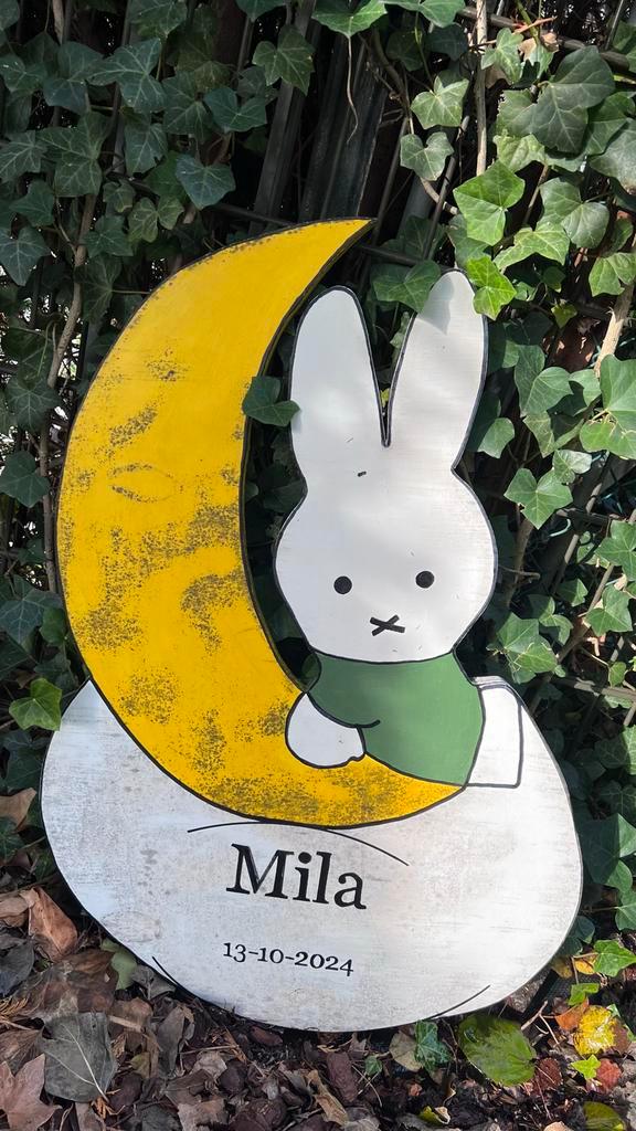 Nijntje Geboortebord DIY, Kinderen en Baby's, Kraamcadeaus en Geboorteborden, Gebruikt, Geboortebord, Ophalen