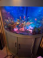 Aqaurium hoek, Dieren en Toebehoren, Ophalen, Gebruikt, Leeg aquarium