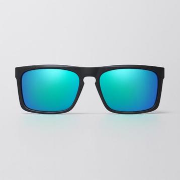 Partij mat zwarte Distressed zonnebrillen 2205-12 beschikbaar voor biedingen