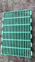 Paddock roosters paarden, Dieren en Toebehoren, Stalling en Weidegang, Weidegang, 4 paarden of pony's of meer