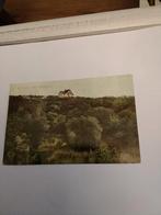 BLOEMENDAAL. HET KOPJE VAN BLOEMENDAAL  1910, Ophalen of Verzenden, Voor 1920, Noord-Holland