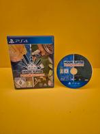 House Flipper Pets Edition, Verzenden, 1 speler, Zo goed als nieuw, S