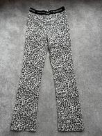 Flared broek kiddo united 134/140 (10), Meisje, Ophalen of Verzenden, Zo goed als nieuw, Kiddo united
