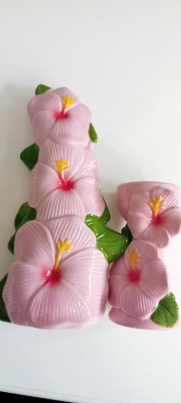 Prachtige Set (Hibiscus) beschikbaar voor biedingen
