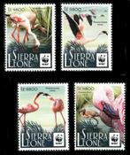 WWF BIRDS = FLAMINGO = sv4st SIERRA-LEONE-009, Postzegels en Munten, Postzegels | Thematische zegels, Dier of Natuur, Verzenden