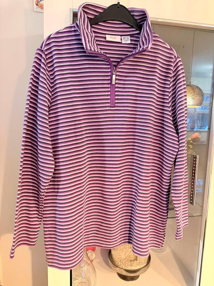 Paola Trui Maat 46, Kleding | Dames, Truien en Vesten, Zo goed als nieuw, Maat 46/48 (XL) of groter, Paars, Ophalen of Verzenden