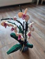 Lego Botanical Collection Orchidee set, Ophalen of Verzenden
