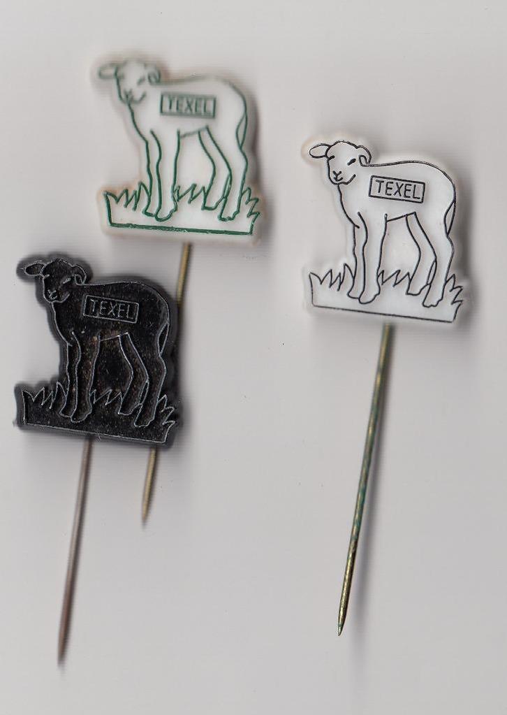 Texel Schaap speldjes, Verzamelen, Speldjes, Pins en Buttons, Gebruikt, Speldje of Pin, Overige onderwerpen, Ophalen of Verzenden