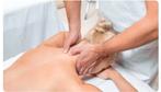 Massage Service voor Vrouwen (thuiservice), Verzenden, Nieuw, Apparaat