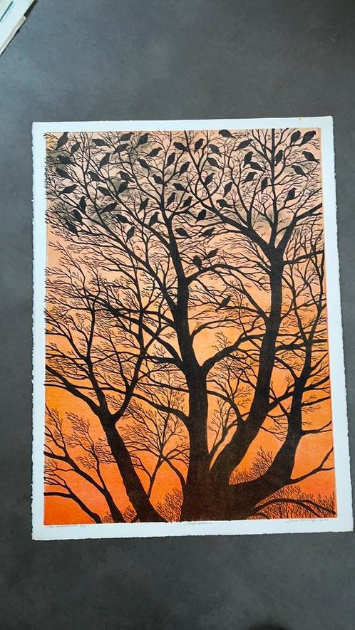 Litho’s en etsen Joost Minnigh, Antiek en Kunst, Kunst | Litho's en Zeefdrukken, Verzenden