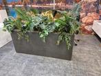 Scheidingswand met beplanting, Ophalen, Nieuw