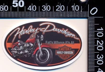 Sticker: Harley Davidson (49), Ophalen of Verzenden, Zo goed als nieuw, Auto of Motor