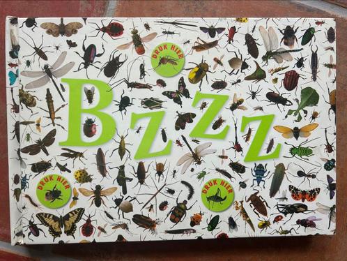 Bzzz insectenboek, Bingham/Morgan/Robertson, Boeken, Kinderboeken | Jeugd | onder 10 jaar, Zo goed als nieuw, Ophalen of Verzenden
