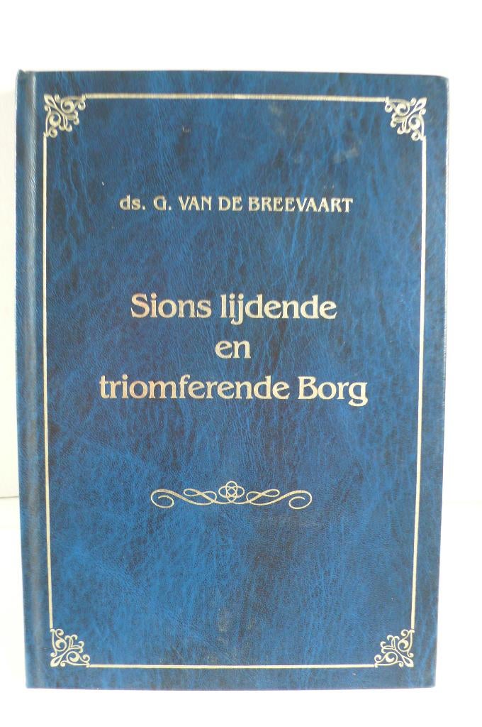 Ds.G.van de Breevaart - Sions lijdende en triomferende Borg, Boeken, Ophalen of Verzenden, Gelezen, Christendom | Protestants