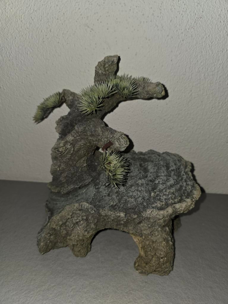 Bonsai boom decoratie voor in de aquarium, Dieren en Toebehoren, Vissen | Aquaria en Toebehoren, Ophalen, Plant(en), Steen of Hout