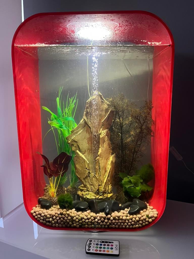 Biorb aquarium 60 liter rood, Dieren en Toebehoren, Ophalen, Gebruikt, Overige merken, Gevuld zoetwateraquarium