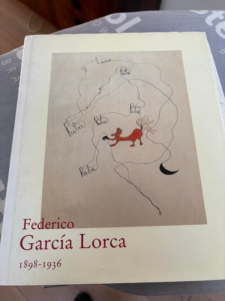 Federico García Lorca - Kunstboek, lang in de kast gestaan, Ophalen of Verzenden, Gelezen
