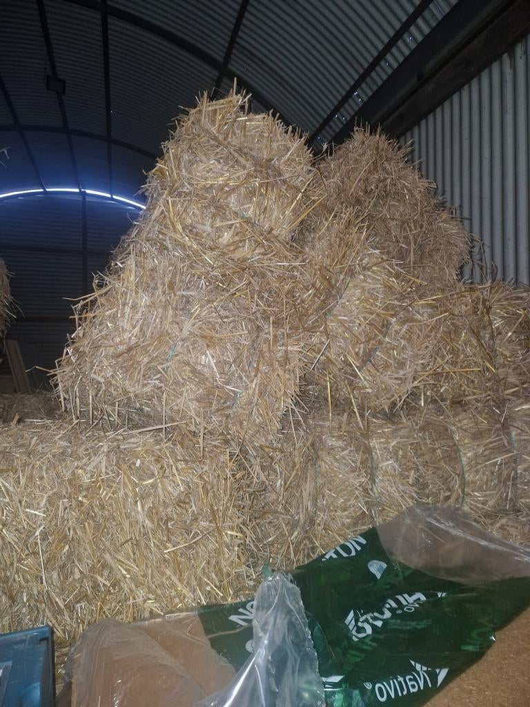 Strobalen, Ophalen of Verzenden