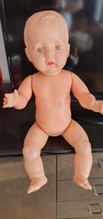 Wildebras pop in zeer goede staat, Ophalen of Verzenden