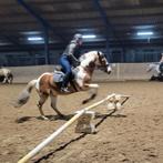 Gemotiveerde bijrijdster / verzorgster zoekt bijrijdpaard, September, Vrouwelijk