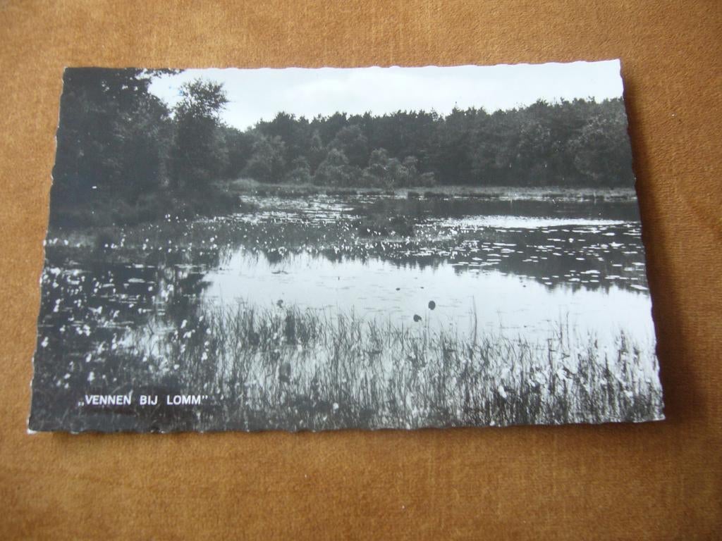 LOMM  =  VENNEN, Ophalen of Verzenden, 1960 tot 1980, Gelopen