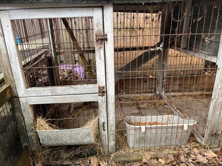 Konijnenkooi, Dieren en Toebehoren, Knaagdieren en Konijnen | Hokken en Kooien, Gebruikt, Kooi, Minder dan 60 cm, 75 tot 110 cm