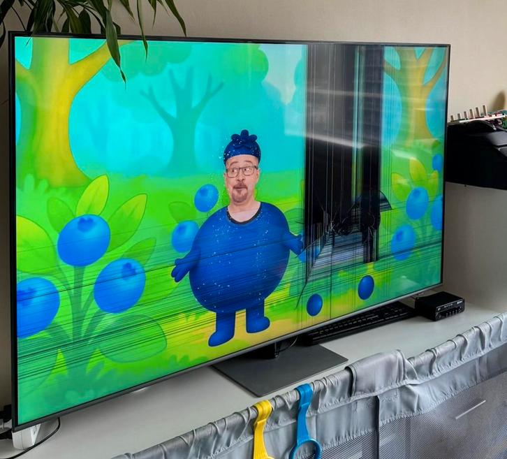 QLED 65Q74B 65-inch 4K TV , Damaged Panel, Audio, Tv en Foto, Televisies, Niet werkend, QLED, 60 tot 80 cm, 4k (UHD), Samsung