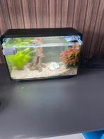 Aquarium Superfish Home Proled 30, Dieren en Toebehoren, Ophalen, Zo goed als nieuw