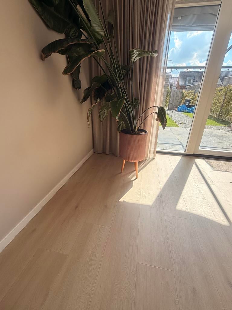 Hoomline Laminaat Elite XL V4 ZAAN 6084 - Waterafstotend, Ophalen, Bruin, Zo goed als nieuw, 25 tot 50 m²