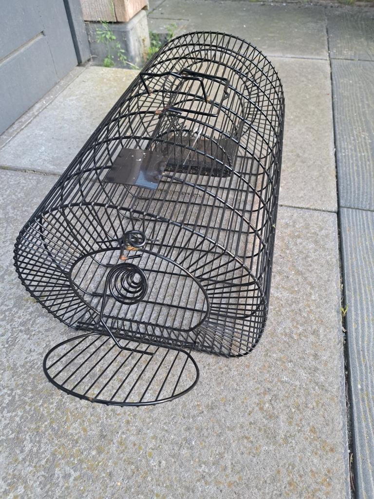 Ratten vangkooi, Ophalen of Verzenden, Ongediertebestrijding
