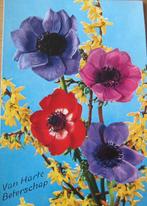 Beterschap - anemonen op nieuwe ansichtkaart, Verzenden, 1980 tot heden, Ongelopen, Overige thema's
