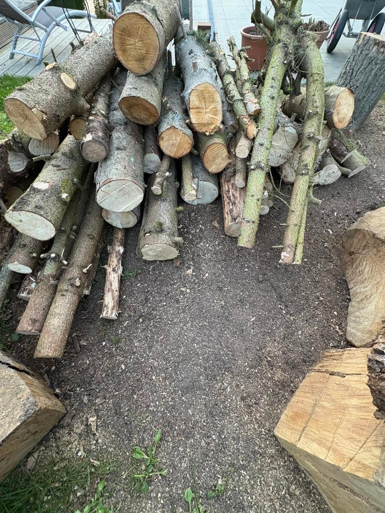 2kuub stamhout/ brandhout den, Minder dan 3 m³, Ophalen