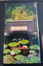 Complete Vijver tekoop, Ophalen