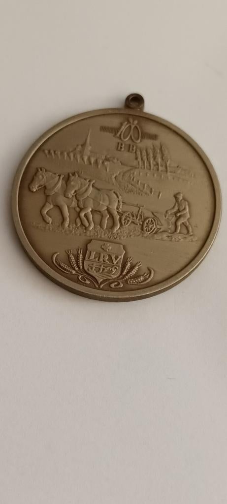 Medaille Gewestelijk Ruitertornooi Schaffen 1990, Verzamelen, Ophalen of Verzenden