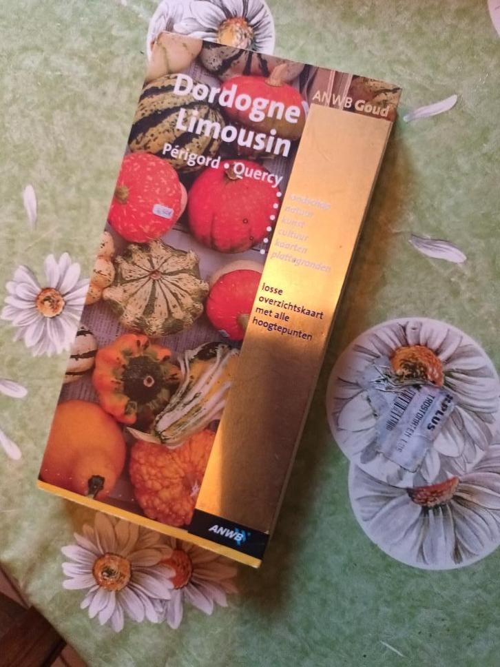 Dordogne Limousin. Frankrijk ANWB Goud reisgids Perigord, Boeken, Reisgidsen, Zo goed als nieuw, Reisgids of -boek, Europa, ANWB