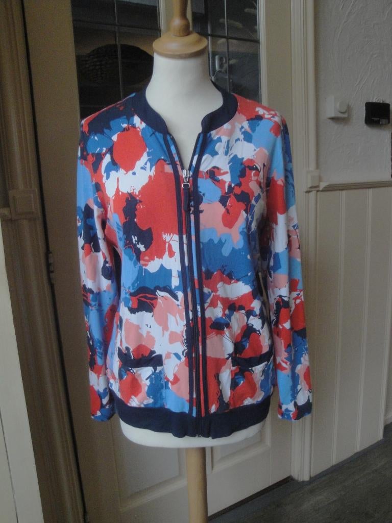 ROBERTO SARTO Vestje maat L, Kleding | Dames, Overige kleuren, Maat 42/44 (L), Ophalen of Verzenden, Zo goed als nieuw