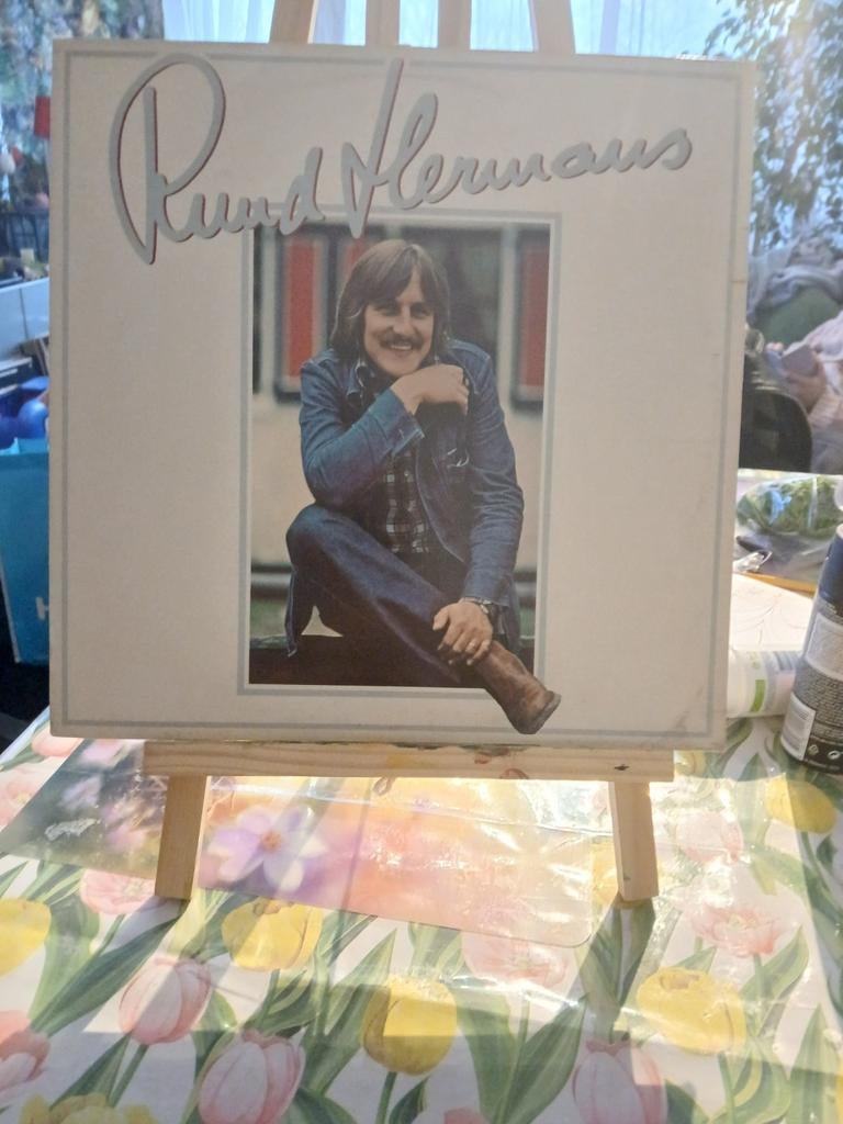 Ruud Hermans lp, Cd's en Dvd's, Ophalen of Verzenden