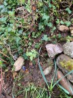 Verschillende keien en stenen gratis af te halen., Ophalen, Overige materialen, Gebruikt, Kei