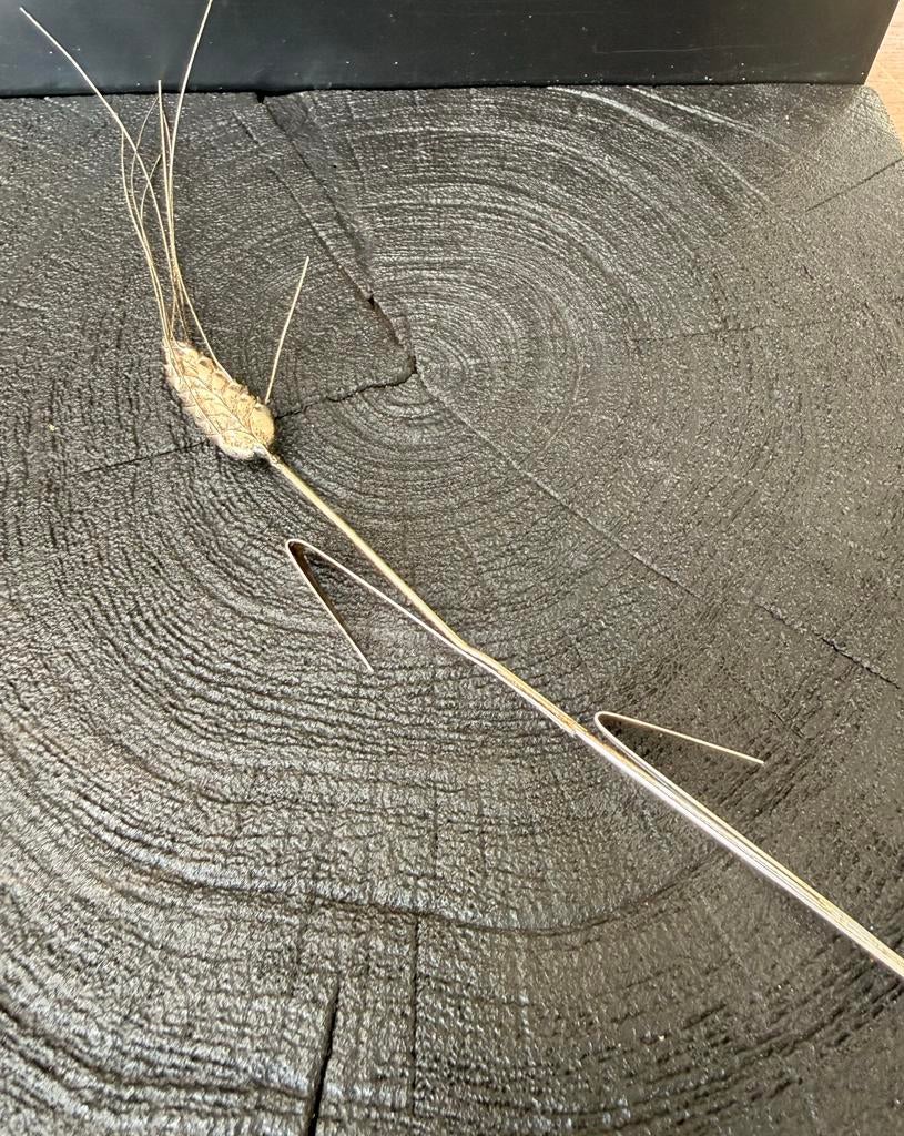 Zilveren Korenaar Miniatuur, Verzenden, Zilver