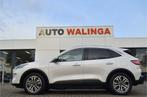 Ford Kuga 2.5 PHEV Carplay Achteruitrijcamera Spoorwisselass, 72 km, Gebruikt, 4 cilinders, Wit