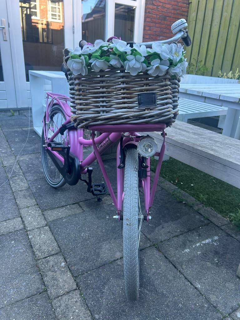 Alpina Meidenfiets 22 inch - Roze, Ophalen, Gebruikt, Velgrem, 20 inch of meer