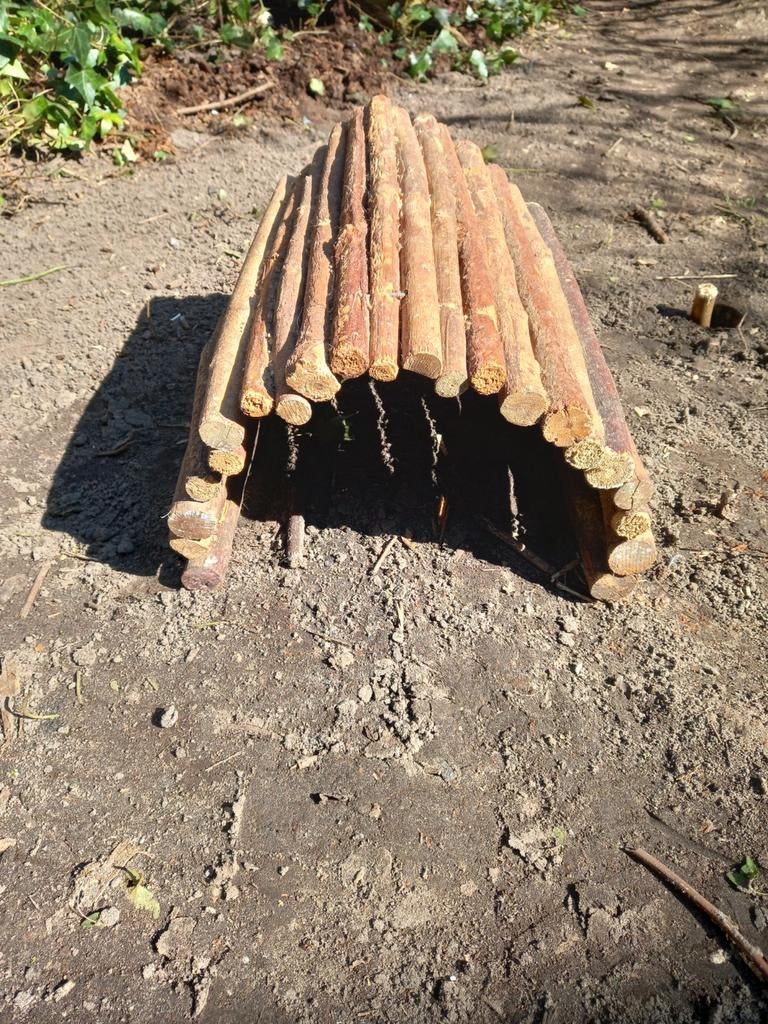 Cavia schuilhuisje, Ophalen of Verzenden, Knaagdier of Konijn