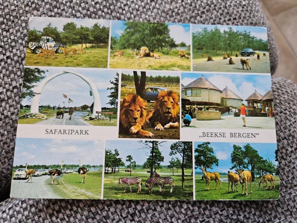 Safaripark Beekse Bergen safaripark, Verzamelen, Ophalen of Verzenden