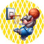 L1441 icing frosting basketbal nijlpaard 19cm eetbare print, Ophalen of Verzenden, Nieuw, Taarten, Versiering