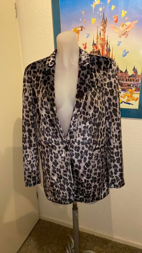 Nieuw mooi colbert maat L merk Alix the Label, Ophalen of Verzenden, Nieuw, Maat 38/40 (M), Overige kleuren