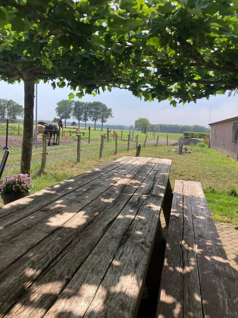 Stalling voor pony /paard, Dieren en Toebehoren, Stalling en Weidegang, Stalling