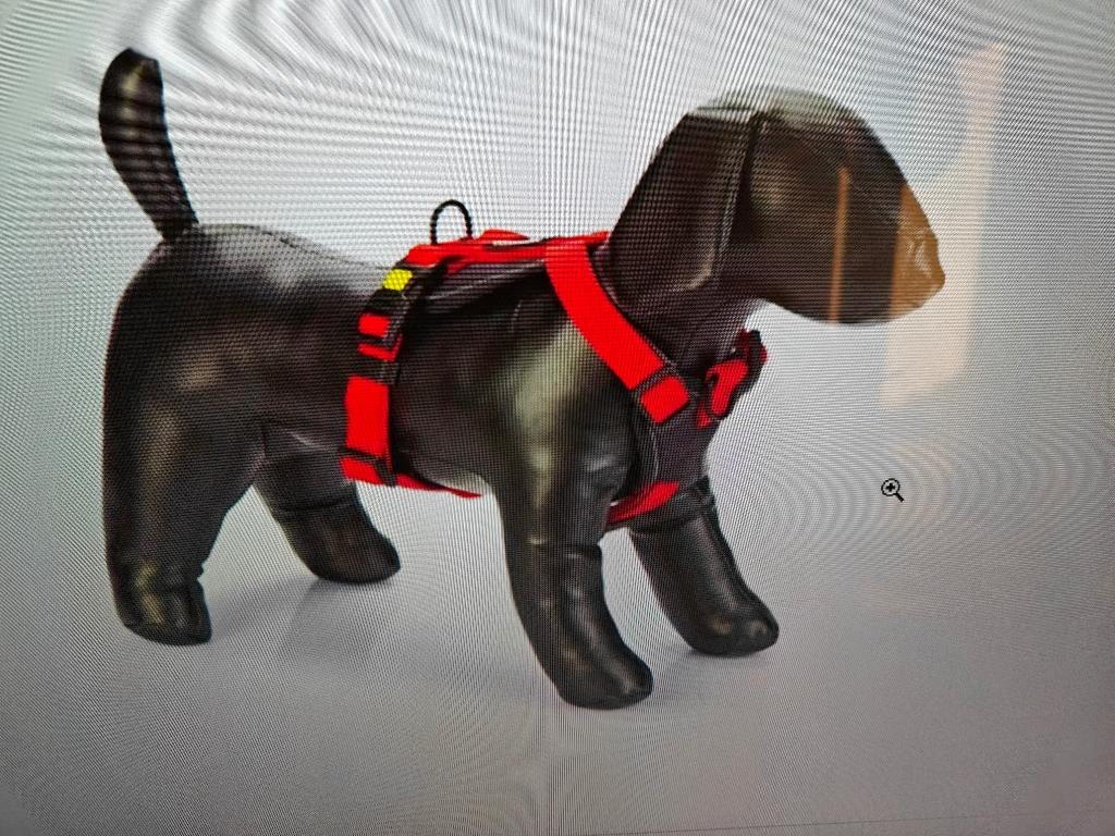 Beeztees honden-Y tuig 53-65 cm, Ophalen of Verzenden, Nieuw